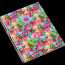 spiralfuezet_a4_vonalas_80_l,_moonflower_teen_starwberry,_27318932_(2).png